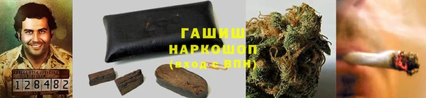 PSILOCYBIN Бугульма