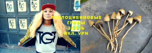 скорость Бородино