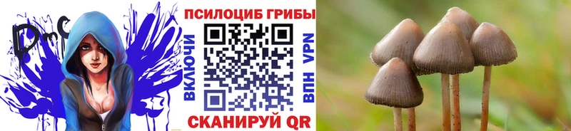 Галлюциногенные грибы MAGIC MUSHROOMS Купино