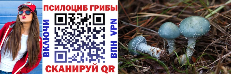 где можно купить   Купино  мега зеркало  Галлюциногенные грибы GOLDEN TEACHER 